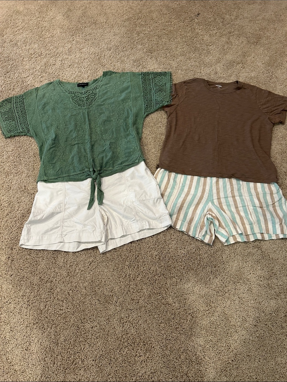 Two Lane Bryant Shorts, One Lane Bryant’s Green Blouse and an Old Navy Tee!!